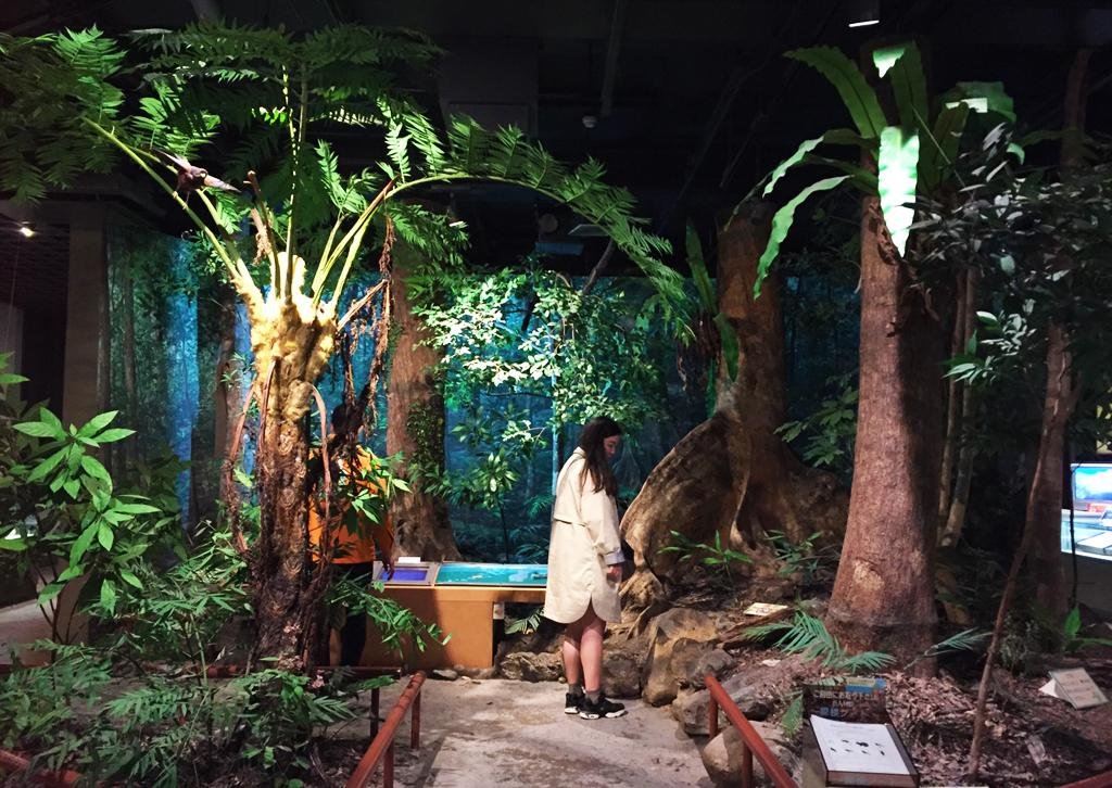 🏛️ 가고시마 현립 박물관(가고시마 켄리츠 하쿠부츠칸) 이미지 3